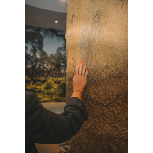 Unisex Lacoste Adjustable Organic Cotton Twill Cap